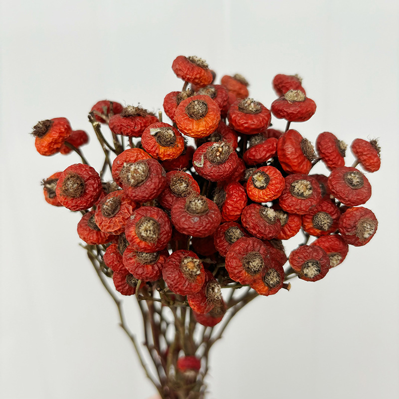 Dried Flower Bulk - 10 stuks/bundel gedroogde rozenbottelbessen bloemen natuurlijke