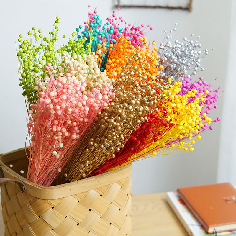 Dried Flower Bulk - 35g/Geconserveerde Ormosia Hosiei Natuurlijke Echte Bloemen