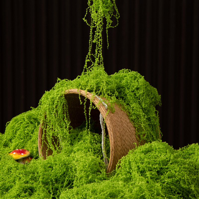 Terrarium Moss Art - 200g Eeuwig leven mos DIY ambachten