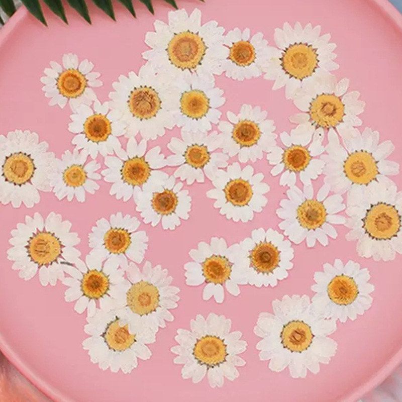 Resin Craft Ideas - 100 stuks natuurlijke witte kristallen chrysanthemum