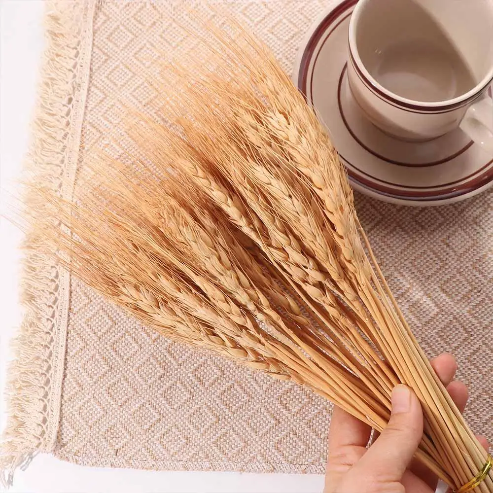 50 stuks Kunstbloemen Natuurli - Dried Flower Bulk recensie en prijs