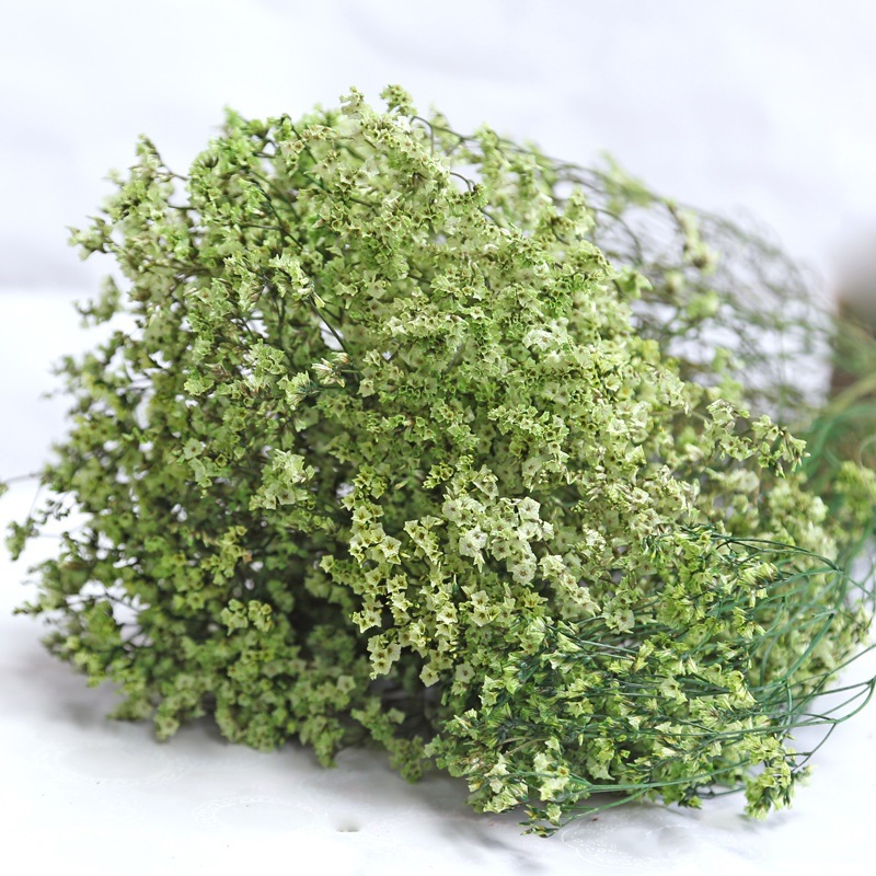Natuurlijke Verse Gedroogde Be - Dried Flower Bulk recensie en prijs