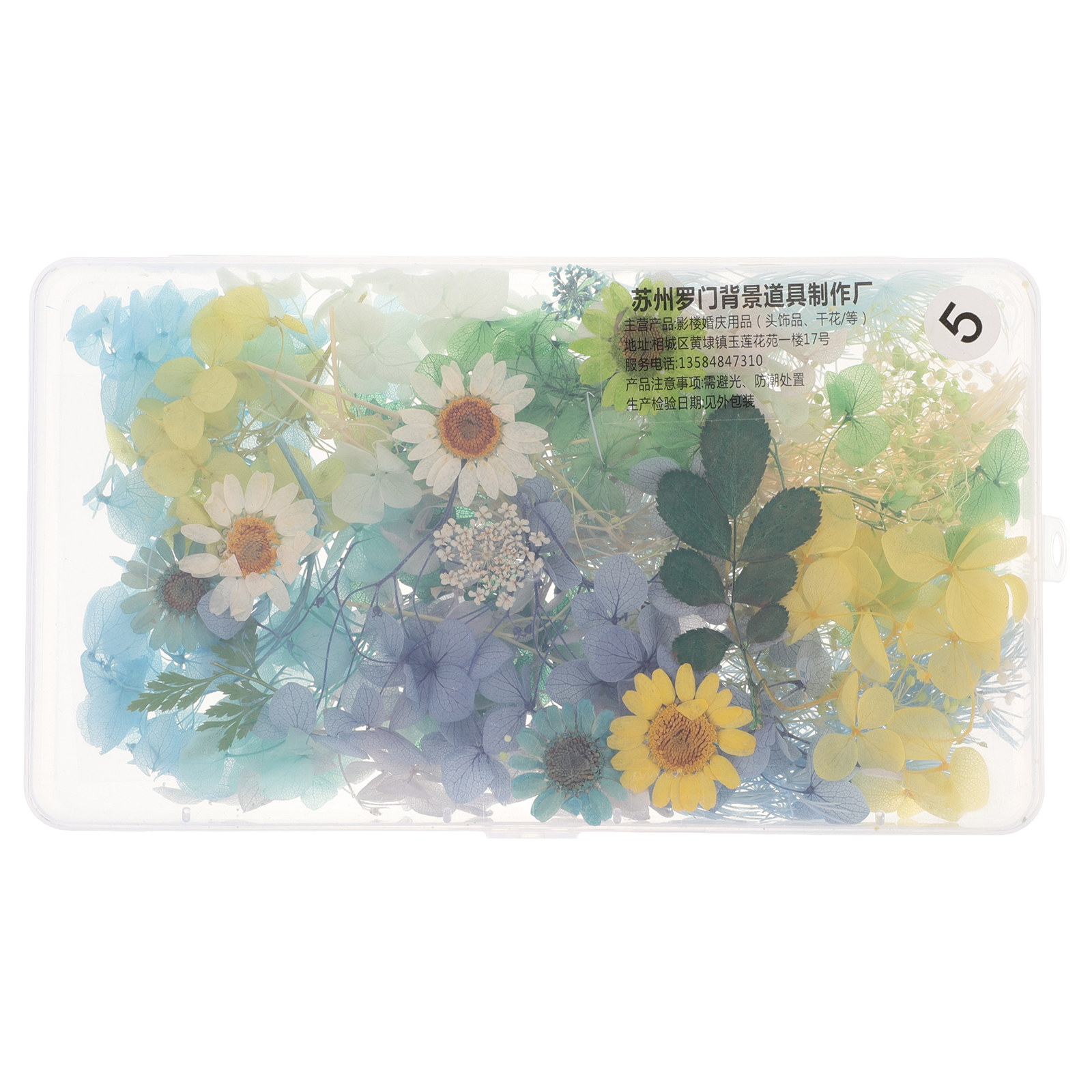 DIY Bruidshoofdband Gedroogde  - Resin Crafts Diy recensie en prijs