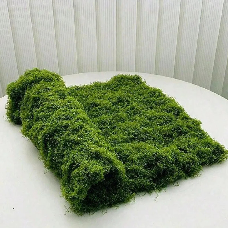 Kunstmos voor micro-landschaps - Terrarium Moss Art recensie en prijs