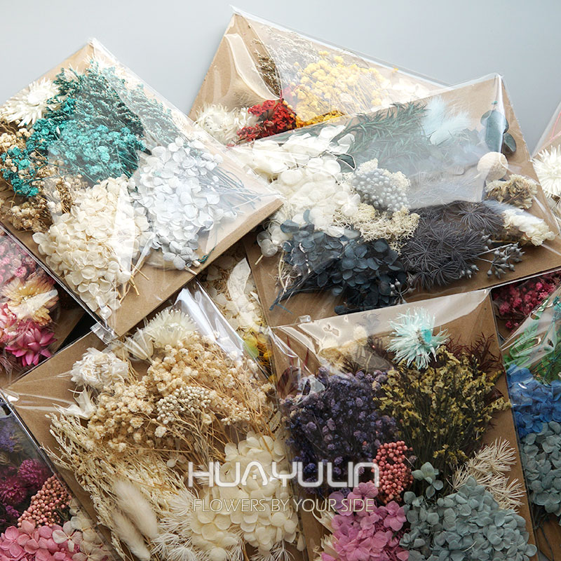 1-pack kunstplanten gedroogde  - Dried Flower Bulk recensie en prijs
