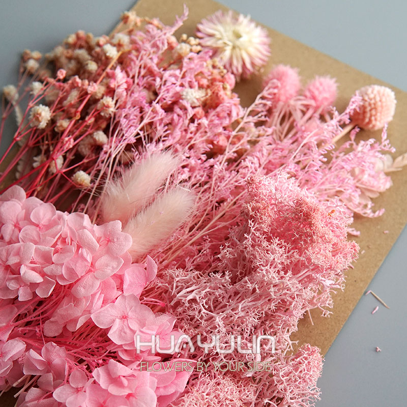 1-pack kunstplanten gedroogde  - Dried Flower Bulk recensie en prijs