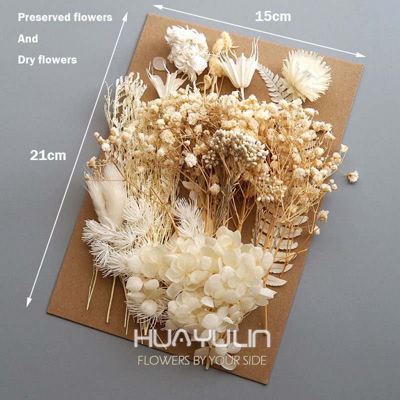 1-pack kunstplanten gedroogde  - Dried Flower Bulk recensie en prijs