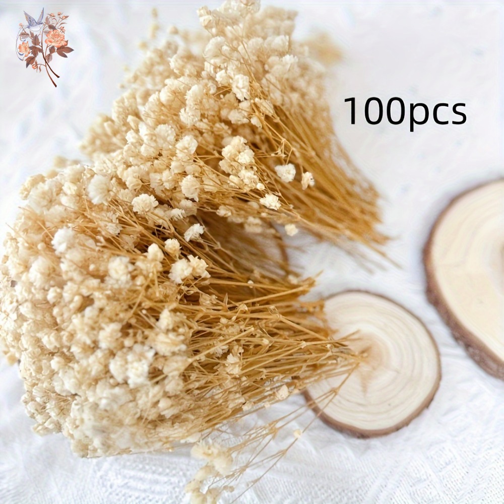 100 stuks Mini Gedroogde Baby' - Resin Craft Ideas recensie en prijs